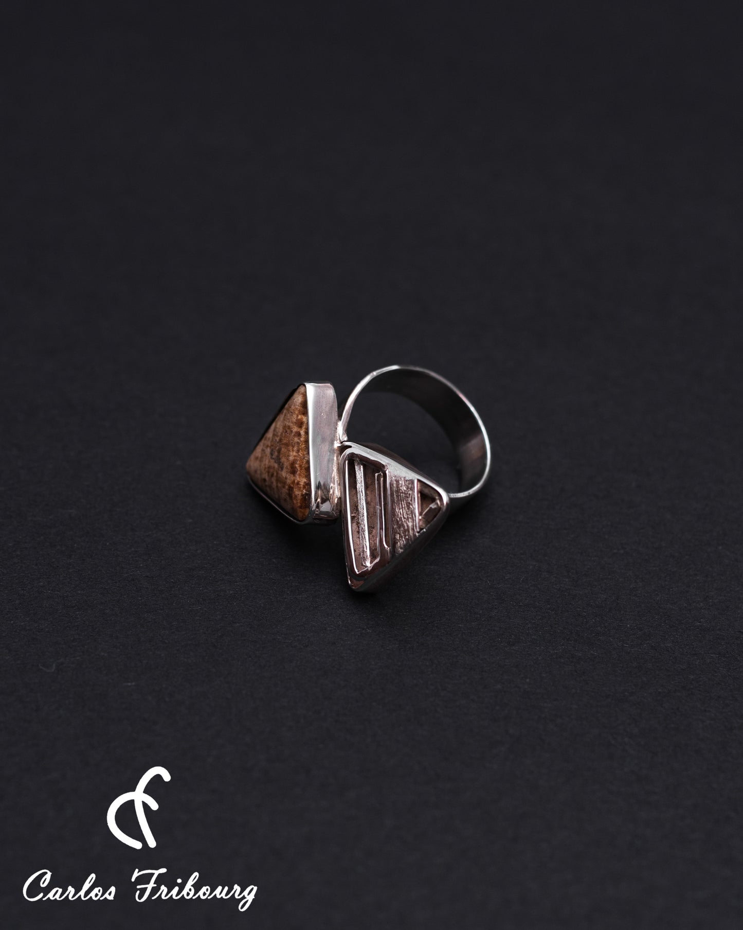 Anillo "Transición"