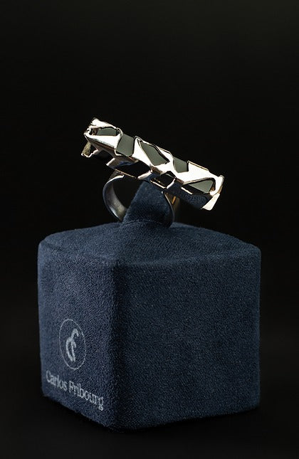 Fragmentos de Sombra